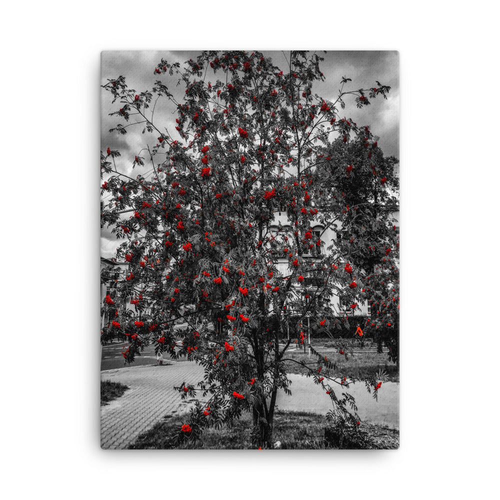 Berries Of Bolesławiec