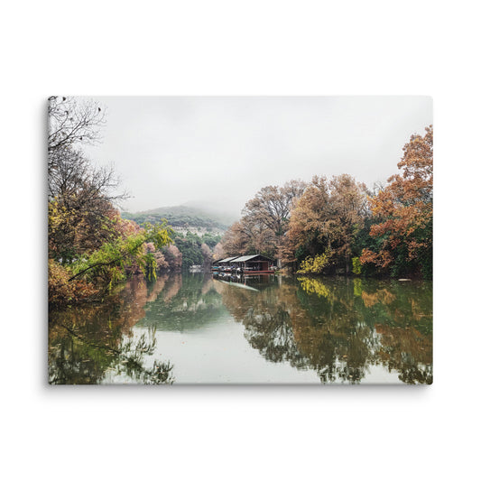 Misty Morning At Bull Creek