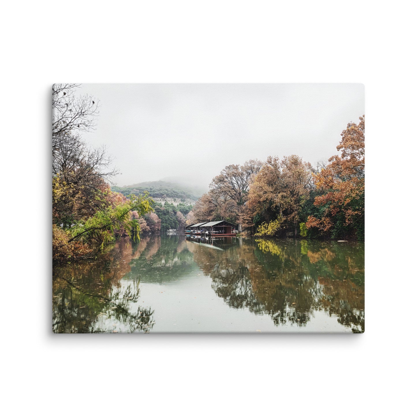 Misty Morning At Bull Creek