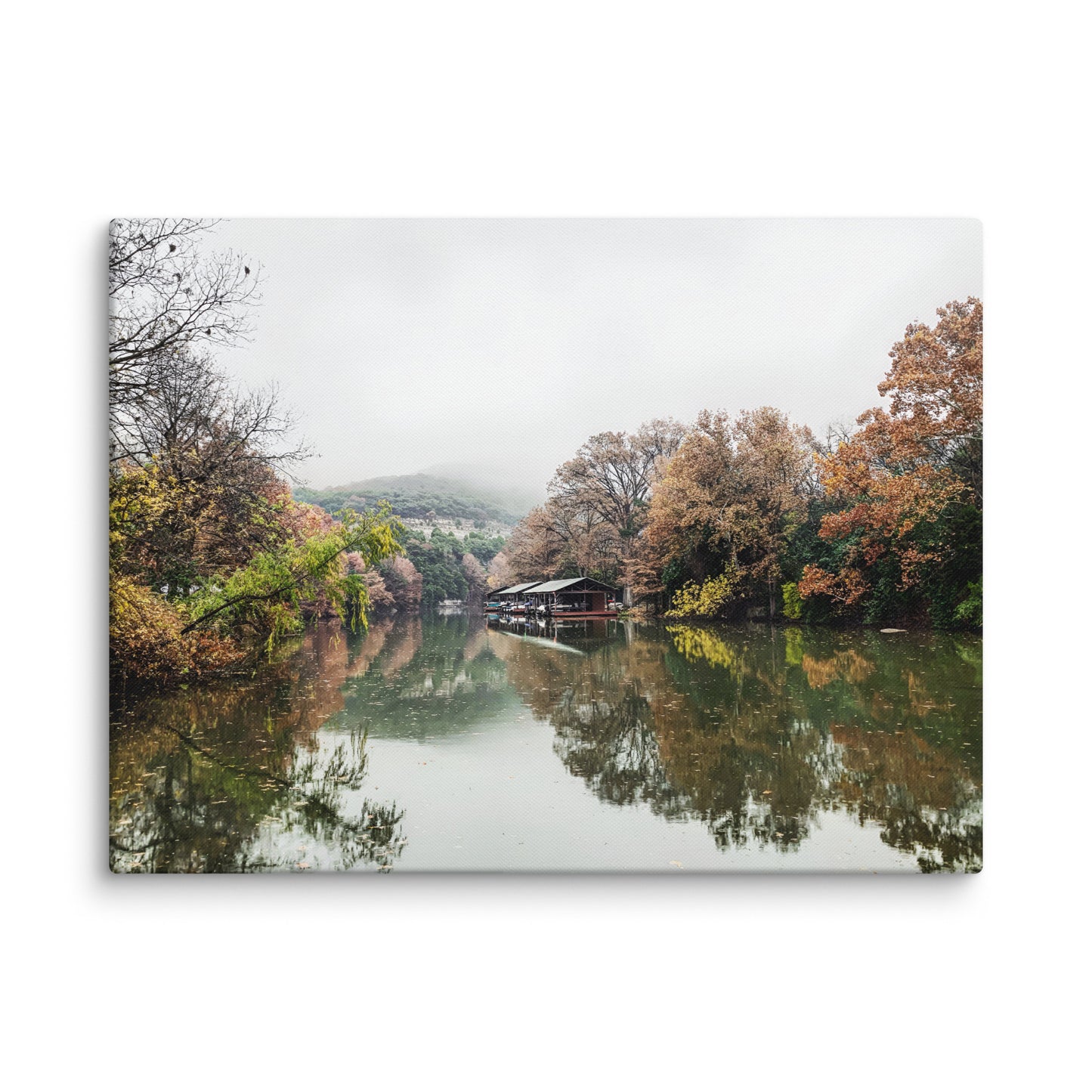 Misty Morning At Bull Creek