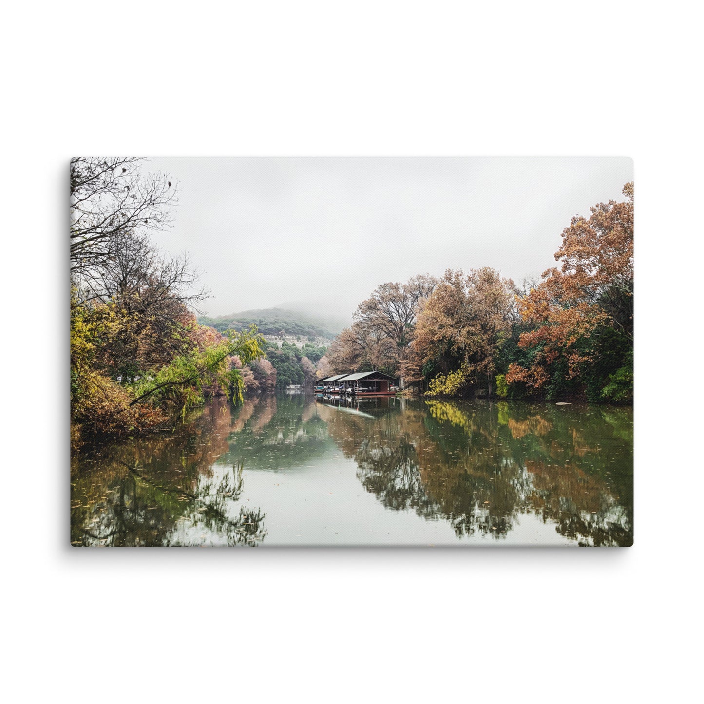 Misty Morning At Bull Creek