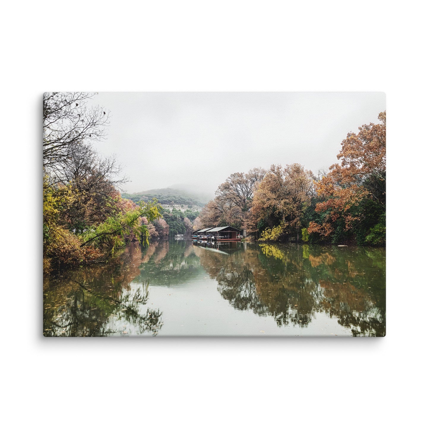 Misty Morning At Bull Creek