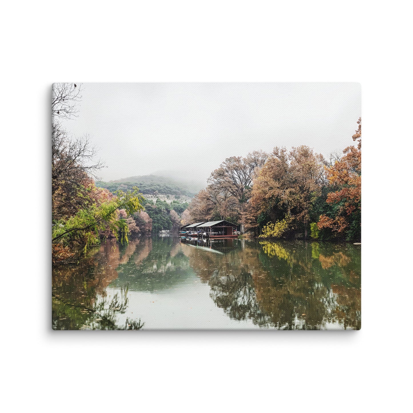 Misty Morning At Bull Creek