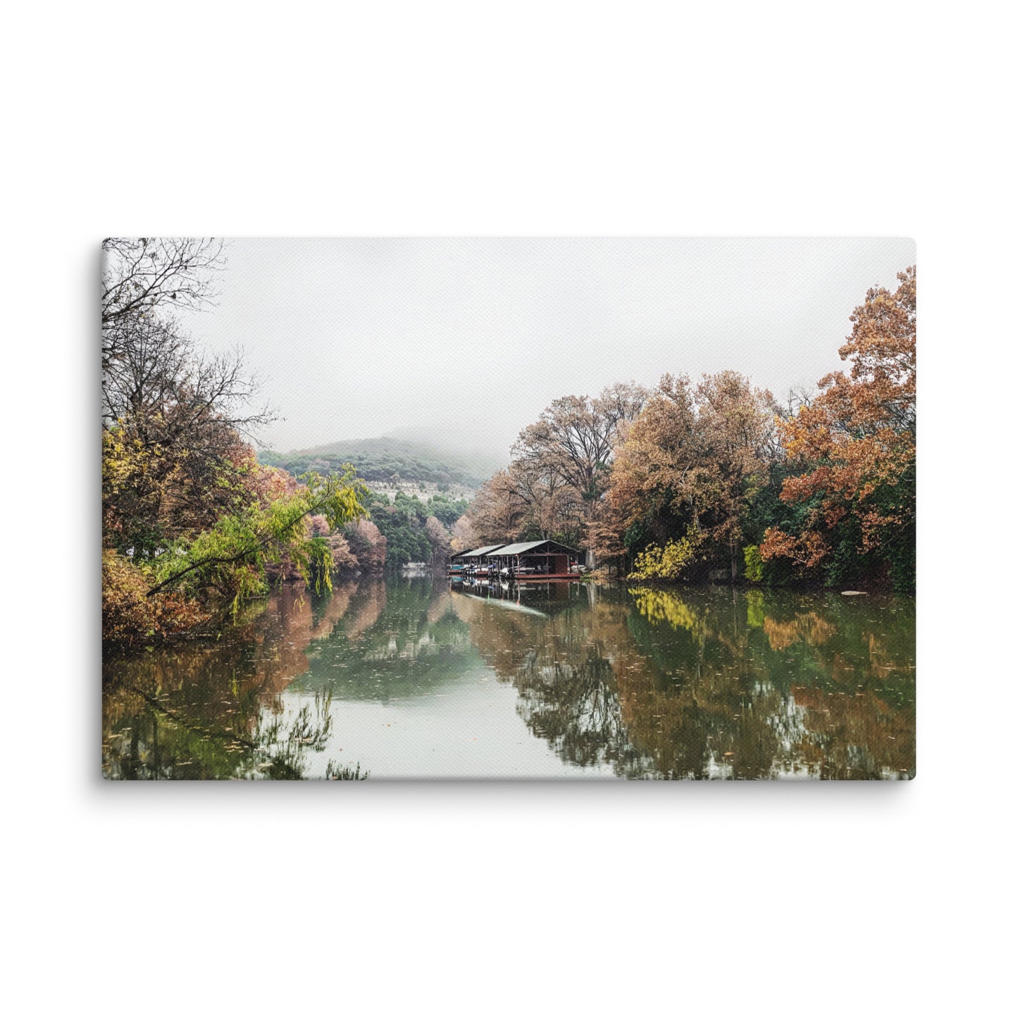 Misty Morning At Bull Creek