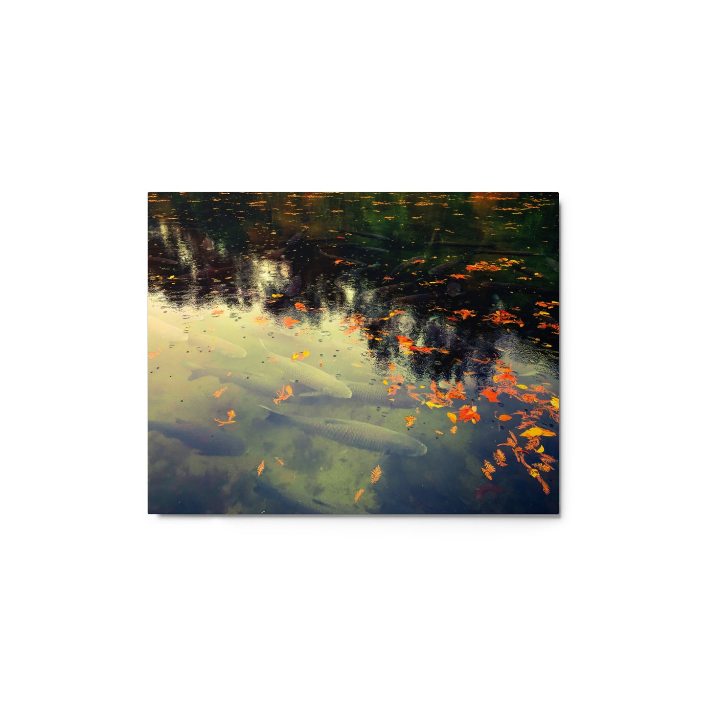 Reflections Of Fall