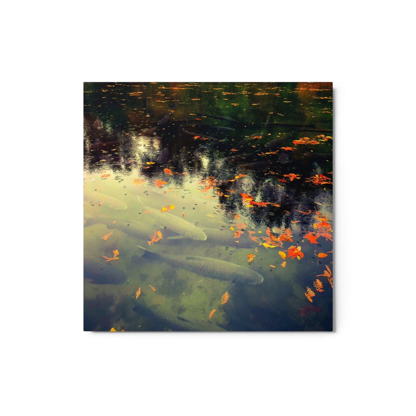 Reflections Of Fall